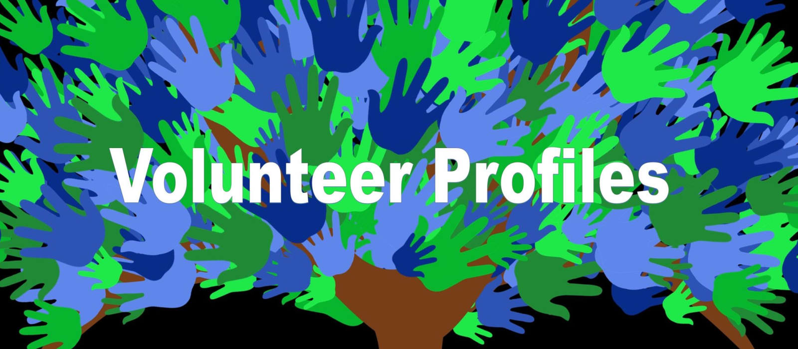 volunteer-profiles