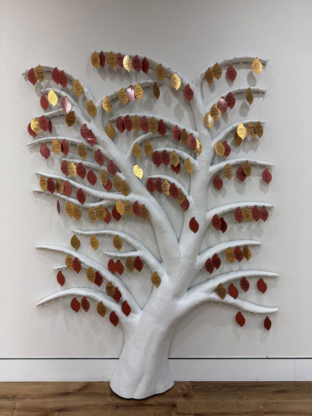 coa tree of life